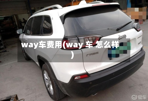 way车费用(way 车 怎么样)