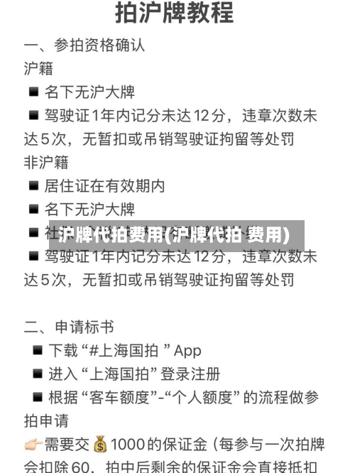 沪牌代拍费用(沪牌代拍 费用)-第2张图片