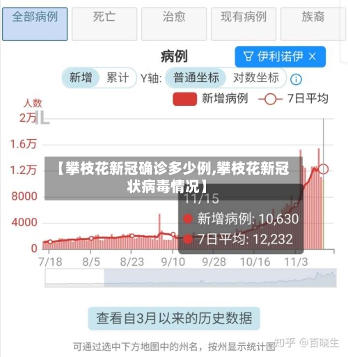 【攀枝花新冠确诊多少例,攀枝花新冠状病毒情况】-第3张图片