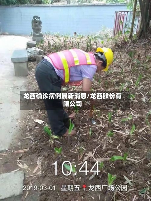 龙西确诊病例最新消息/龙西股份有限公司-第2张图片