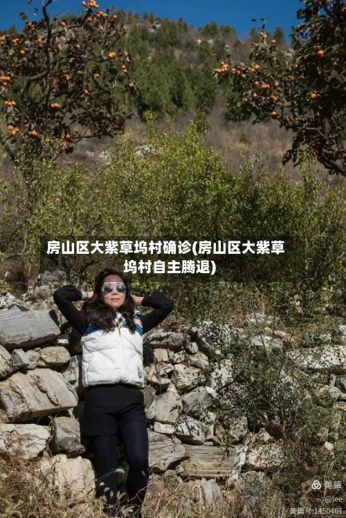 房山区大紫草坞村确诊(房山区大紫草坞村自主腾退)-第2张图片