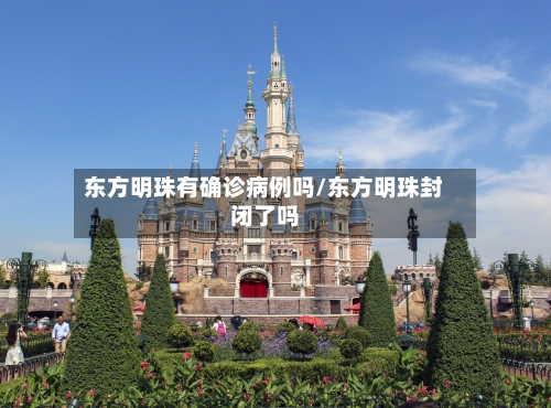 东方明珠有确诊病例吗/东方明珠封闭了吗-第2张图片