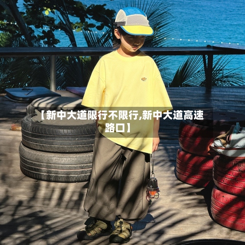 【新中大道限行不限行,新中大道高速路口】-第2张图片