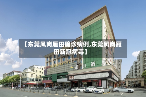 【东莞凤岗雁田确诊病例,东莞凤岗雁田新冠病毒】