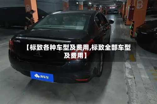 【标致各种车型及费用,标致全部车型及费用】-第3张图片