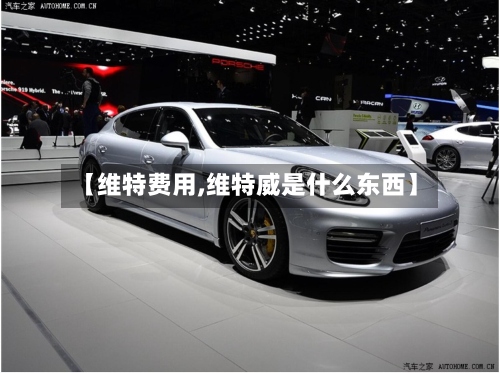 【维特费用,维特威是什么东西】