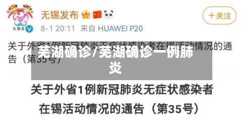 芜湖确诊/芜湖确诊一例肺炎