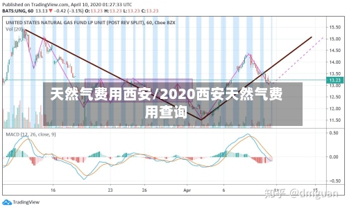 天然气费用西安/2020西安天然气费用查询-第2张图片