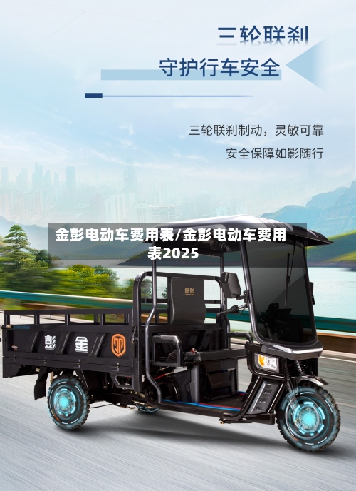 金彭电动车费用表/金彭电动车费用表2025-第3张图片