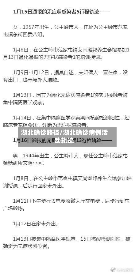 湖北确诊路径/湖北确诊病例活动轨迹-第3张图片