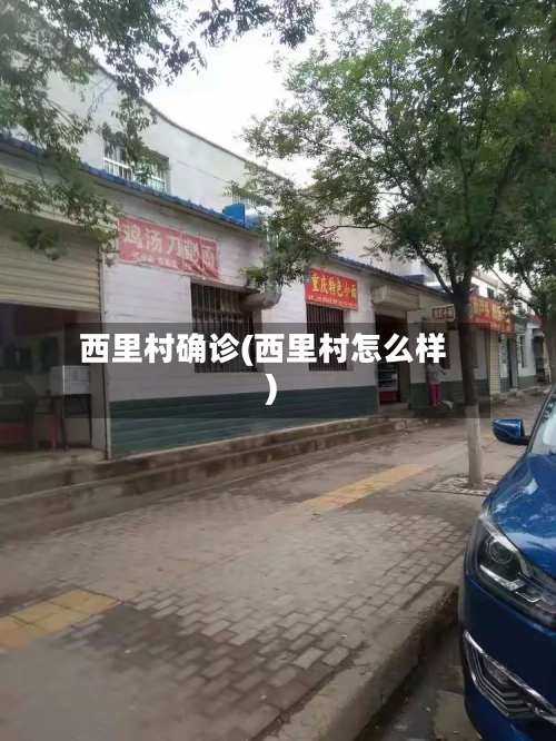 西里村确诊(西里村怎么样)