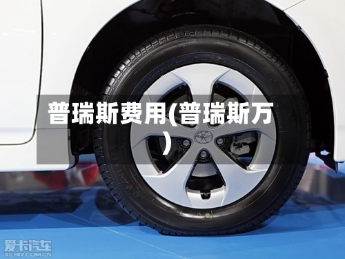 普瑞斯费用(普瑞斯万)-第2张图片