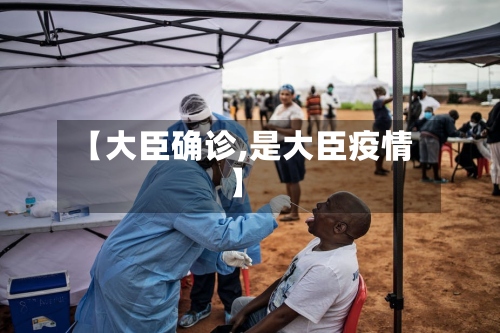 【大臣确诊,是大臣疫情】-第2张图片