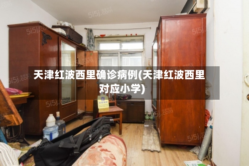 天津红波西里确诊病例(天津红波西里对应小学)-第2张图片