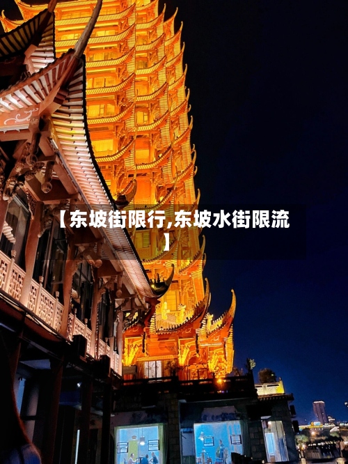 【东坡街限行,东坡水街限流】-第3张图片