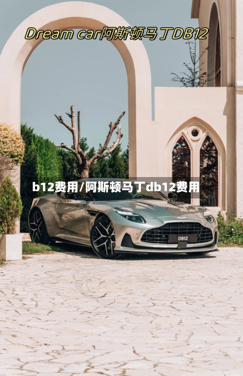 b12费用/阿斯顿马丁db12费用-第2张图片