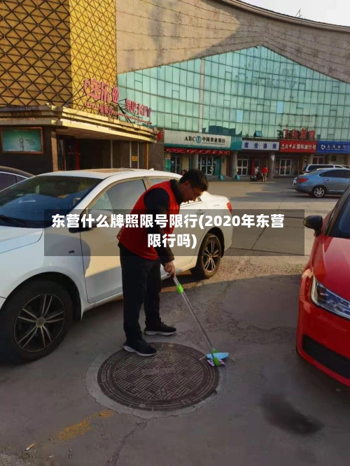 东营什么牌照限号限行(2020年东营限行吗)