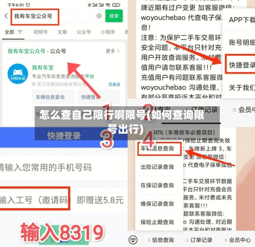 怎么查自己限行啊限号(如何查询限号出行)