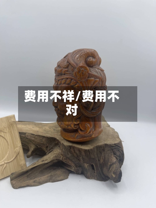 费用不祥/费用不对