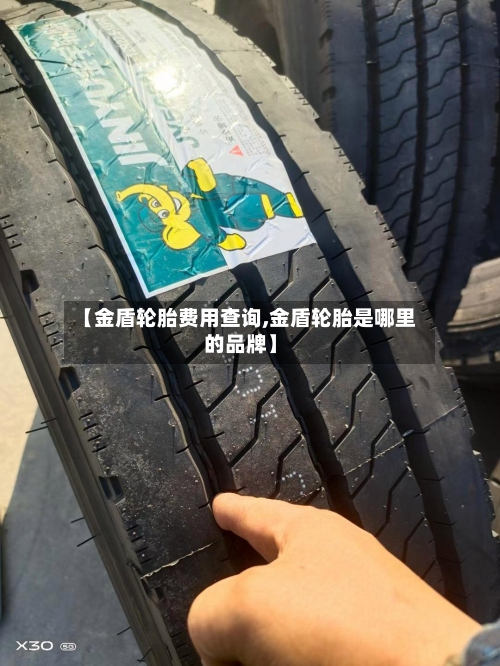 【金盾轮胎费用查询,金盾轮胎是哪里的品牌】-第2张图片
