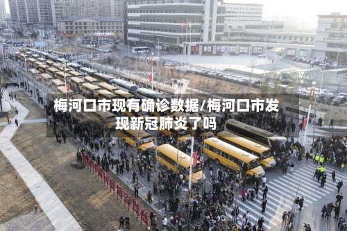 梅河口市现有确诊数据/梅河口市发现新冠肺炎了吗-第2张图片