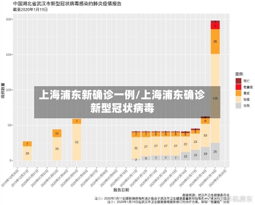上海浦东新确诊一例/上海浦东确诊新型冠状病毒-第2张图片