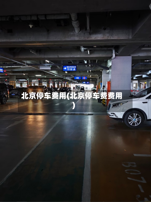 北京停车费用(北京停车费费用)