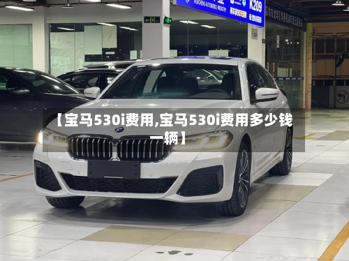 【宝马530i费用,宝马530i费用多少钱一辆】