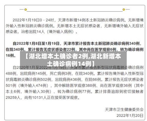 【湖北增本土确诊者2例,湖北新增本土确诊病例14例】-第2张图片
