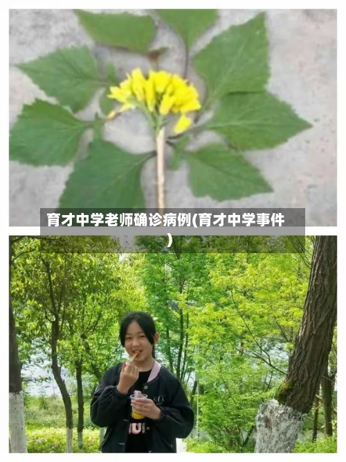 育才中学老师确诊病例(育才中学事件)-第3张图片