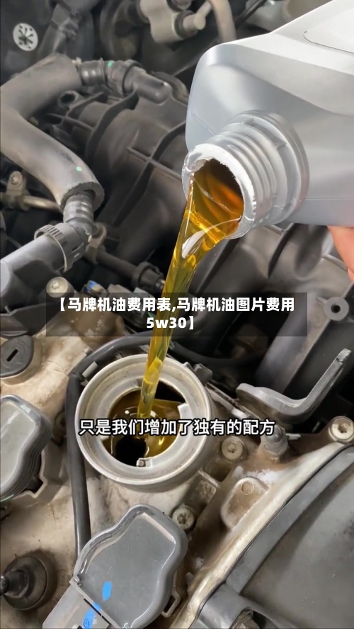 【马牌机油费用表,马牌机油图片费用5w30】-第2张图片