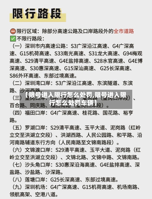 【限号进入限行怎么处罚,限号进入限行怎么处罚车辆】