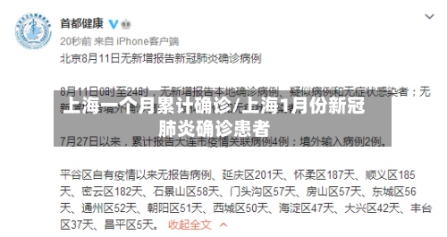 上海一个月累计确诊/上海1月份新冠肺炎确诊患者
