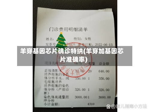 羊穿基因芯片确诊特纳(羊穿加基因芯片准确率)-第2张图片