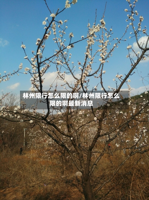 林州限行怎么限的啊/林州限行怎么限的啊最新消息