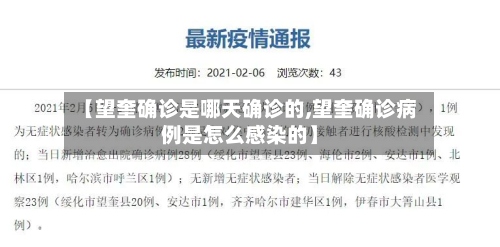 【望奎确诊是哪天确诊的,望奎确诊病例是怎么感染的】-第2张图片