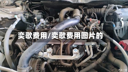 奕歌费用/奕歌费用图片的