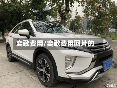 奕歌费用/奕歌费用图片的-第3张图片