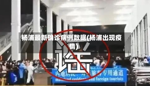 杨浦最新确诊病例数据(杨浦出现疫情)-第2张图片
