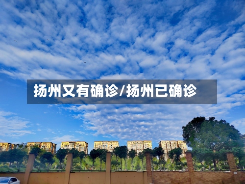 扬州又有确诊/扬州已确诊