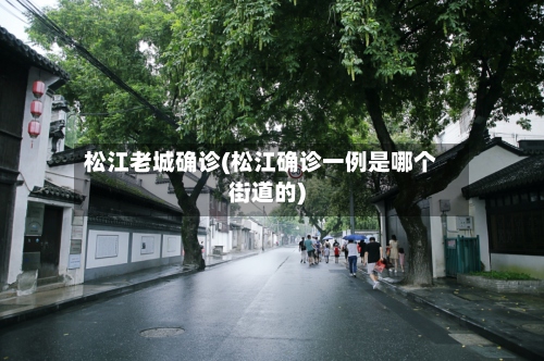 松江老城确诊(松江确诊一例是哪个街道的)