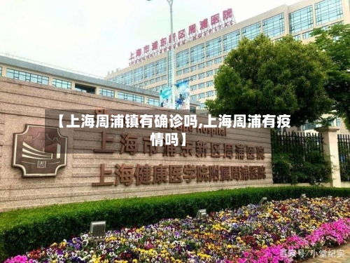 【上海周浦镇有确诊吗,上海周浦有疫情吗】-第2张图片