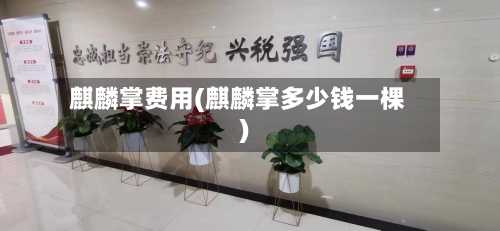 麒麟掌费用(麒麟掌多少钱一棵)