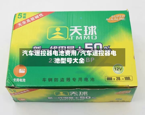 汽车遥控器电池费用/汽车遥控器电池型号大全-第2张图片