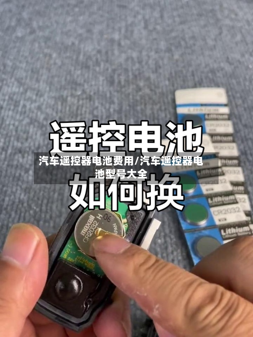 汽车遥控器电池费用/汽车遥控器电池型号大全