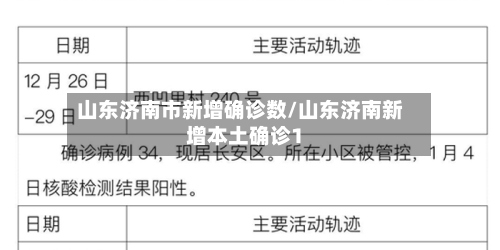 山东济南市新增确诊数/山东济南新增本土确诊1-第2张图片