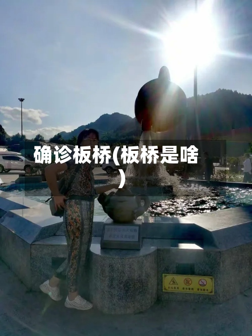 确诊板桥(板桥是啥)-第2张图片