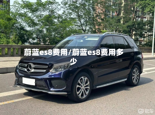 蔚蓝es8费用/蔚蓝es8费用多少-第2张图片