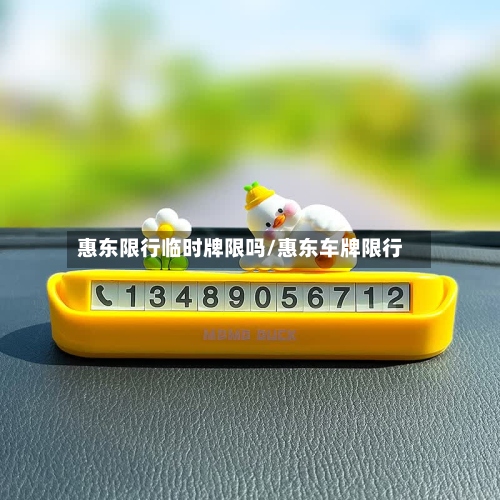 惠东限行临时牌限吗/惠东车牌限行