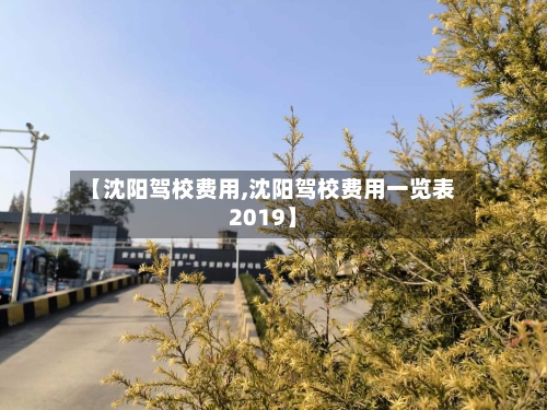 【沈阳驾校费用,沈阳驾校费用一览表2019】